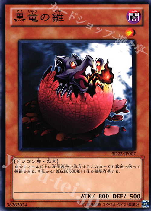 N 黒竜の雛 | 販売 | [SD22] STRUCTURE DECK -ドラゴニック・レギオン- | 遊戯王 OCG