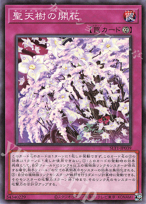 N 聖天樹の開花 | 販売 | [SLT1] SELECTION 10 | 遊戯王 OCG