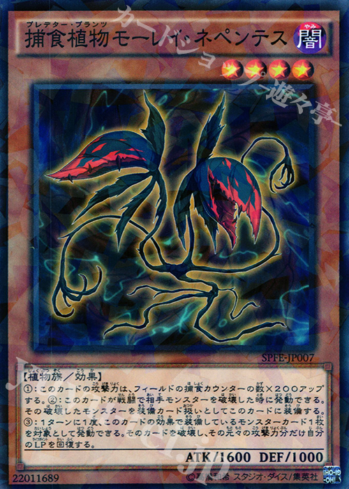 P-N 捕食植物モーレイ・ネペンテス | 販売 | [SPFE] ブースターSP -フュージョン・エンフォーサーズ- | 遊戯王 OCG