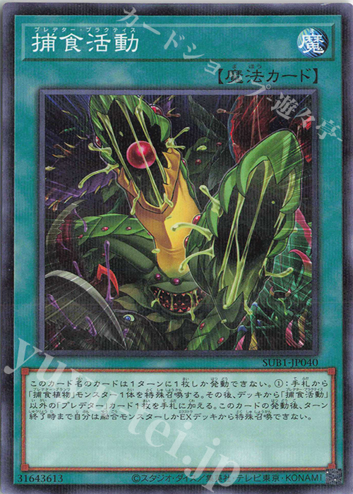 P-N 捕食活動 | 販売 | [SUB1] SECRET UTILITY BOX | 遊戯王 OCG