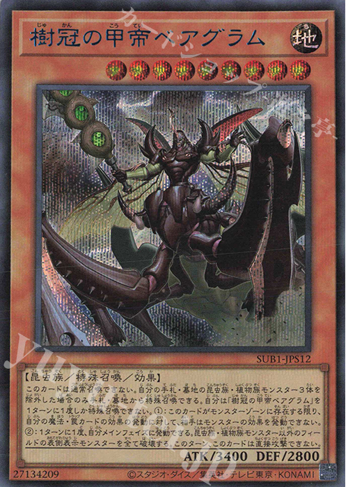 SE 樹冠の甲帝ベアグラム | 販売 | [SUB1] SECRET UTILITY BOX | 遊戯王 OCG