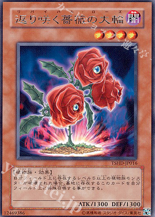 R 返り咲く薔薇の大輪 | 買取 | [TSHD] THE SHINING DARKNESS | 遊戯王 OCG