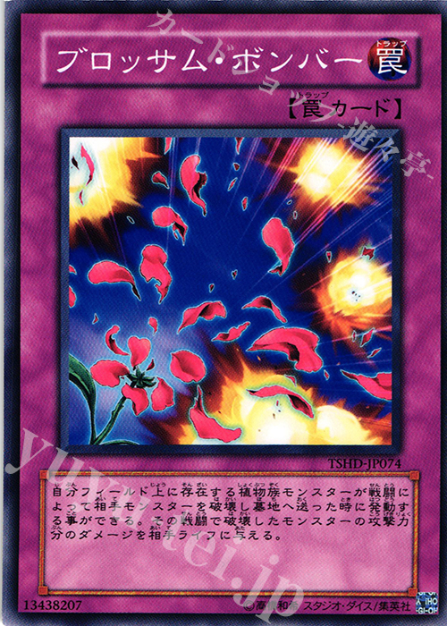 N ブロッサム・ボンバー | 販売 | [TSHD] THE SHINING DARKNESS | 遊戯王 OCG