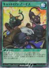  RD/5TH1-JP130 SR キャットロワチョイス 