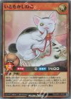RD/AP01-JP022 SR いとをかしねこ