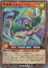 RD/AP01-JP066 SR 湾楽姫コルネットラス