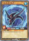  RD/KP07-JP003 N イルカ王イルクァ 