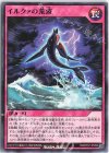  RD/KP07-JP059 N イルクァの荒波 