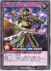  RD/KP09-JP040 R 箒の英雄 