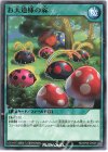  RD/KP09-JP049 N お天道様の森 