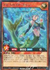  RD/KP14-JP026 R アビスカイト・カレン 
