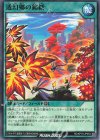  RD/KP15-JP053 N 透幻卿の錦綉 