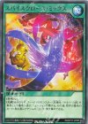  RD/KP17-JP055 R スパイスクロース・ミックス 