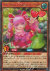  RD/KP18-JP022 UR ベリーフレッシュ・ハピネス・ハーベスト 