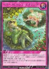  RD/KP18-JP063 R ベリーフレッシュ・スイミング 