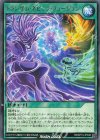  RD/KP19-JP048 R トランザム・ネビュラ・フュージョン 