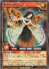  RD/KP20-JP033 R 夢中のポリニア 