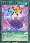  RD/KP20-JP053 N 昆遁忍法-藍隠虫 