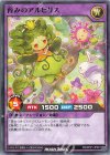RD/KP21-JP041 N 育みのアルピリス