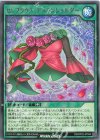 RD/KP22-JP044 R セレブラウス・デスワンショルダー
