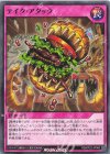 RD/KP22-JP060 N テイク・アタック