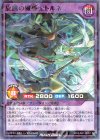 RD/SJMP-JP051 P-N 旋風の魔導士トルネ