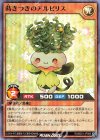  RD/B251-JP008 SR 蒔きつきのアルピリス 