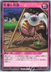  RD/SBD3-JP028 N 狂暴と共謀 