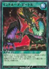  RD/TB02-JP066 N イントルード・ビートル 