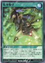 N 花牙胞子