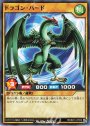 N ドラゴン・バード