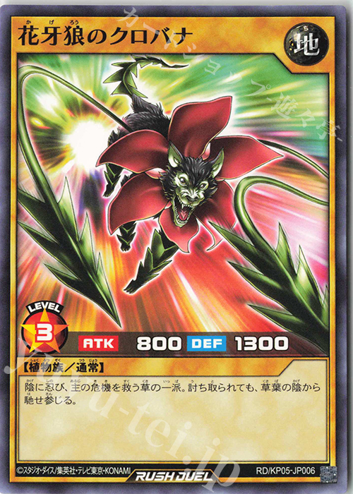 N 花牙狼のクロバナ | 販売 | [KP05] デッキ改造パック 躍動のエターナルライブ‼ | 遊戯王ラッシュデュエル