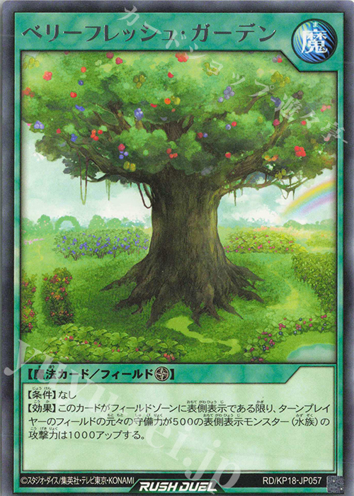 R ベリーフレッシュ・ガーデン | 販売 | [KP18] 幻影のダークマター | 遊戯王ラッシュデュエル