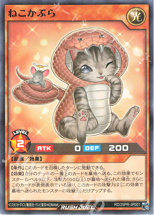 P-N ねこかぶら | 販売 | その他プロモーションカード | 遊戯王ラッシュデュエル