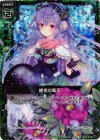 B11-100 RH 絶佳の風花(ホロ)