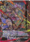  B51-057 SRH 諦めは心の養生 ガーンデーヴァ(ホロ)(箔押し) 