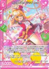  E49-017 N ワンダースカイシップ カナ(エンジョイフレーム) 