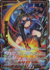  E50-005 NH 研ぎ澄まし、撃つ(ホロ) 