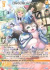  G36-013 R 聖光§開化 メインクーン 