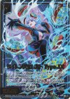  IG04-029 RH サイレンスセレスト Type.IX(ホロ) 