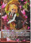 IG05-026 RH レゾリューション カナ(ホロ)(エンジョイフレーム)