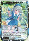  IG05-038 SR 運命を奏でる者∀ニュー 