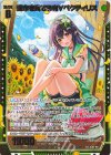  IG05-041 SR 運命を奏でる者∀ペクティリス 