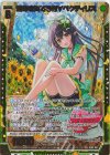  IG05-041 SRH 運命を奏でる者∀ペクティリス(ホロ) 