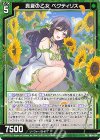  PR04-014 PR 真夏の乙女 ペクティリス 