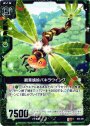 R 観葉蜻蛉パキラウイング