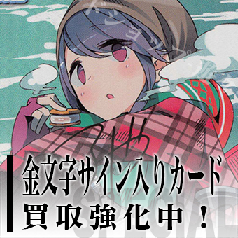 プレシャスメモリーズバナー1