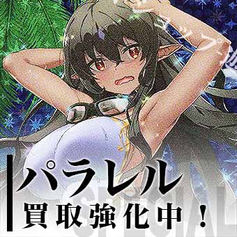 ヴァンガードバナー1
